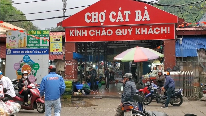 Di chuyển đến chợ hải sản Cát Bà bằng cách nào?