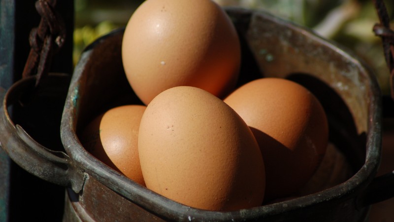 Giá trứng gà hôm nay ngày 25/09