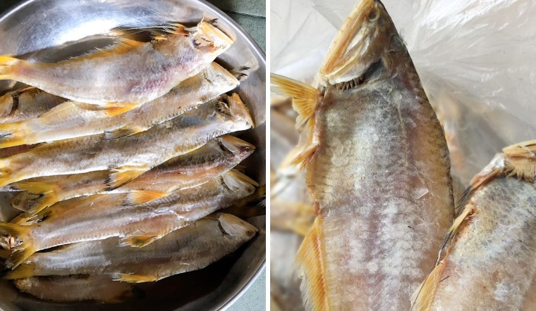 Cá lẹp vàng Cà Mau là gì, có gì hấp dẫn?