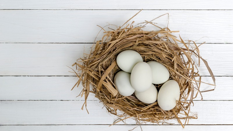 Giá trứng gà hôm nay ngày 26/09