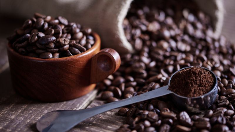 Giá cà phê trong nước hôm nay