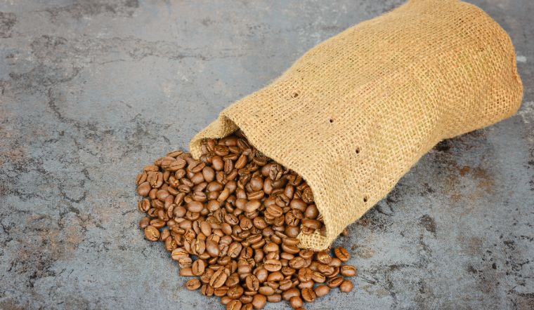 Giá cà phê hôm nay 26/09/2024: Cao nhất 122.000 đồng/kg