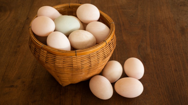 Giá trứng gà hôm nay ngày 27/09