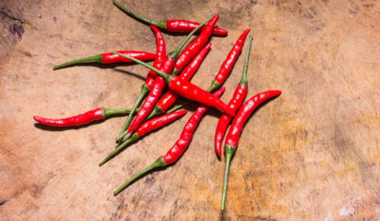 Giá ớt hôm nay 30/09/2024: Không biến động đầu tuần