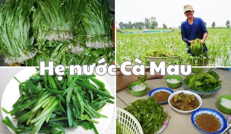 Tìm hiểu đặc sản Hẹ nước Cà Mau và những điều thú vị