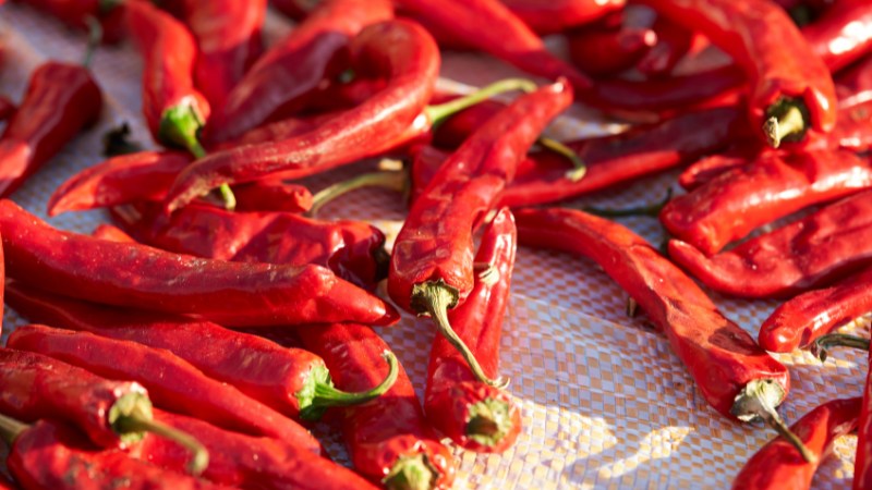 Giá ớt hôm nay 01/10/2024 Giá ớt hôm nay 01/10/2024