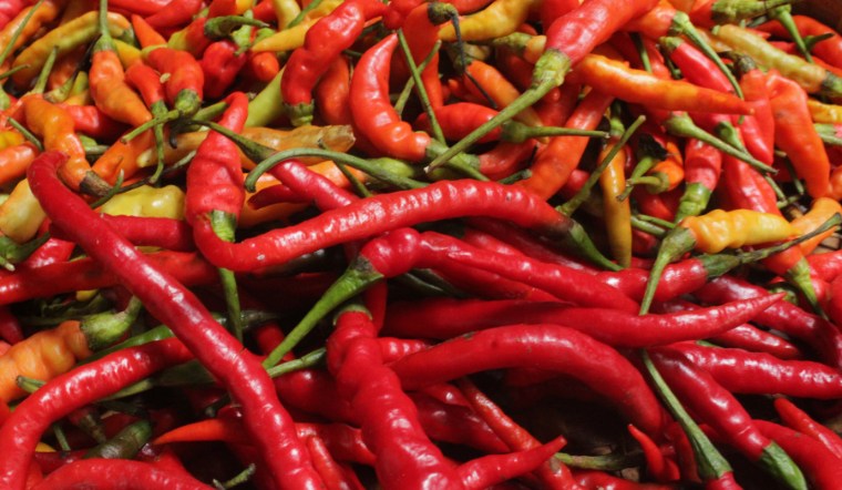 Giá ớt hôm nay 03/10/2024: Thêm 1 ngày bình ổn