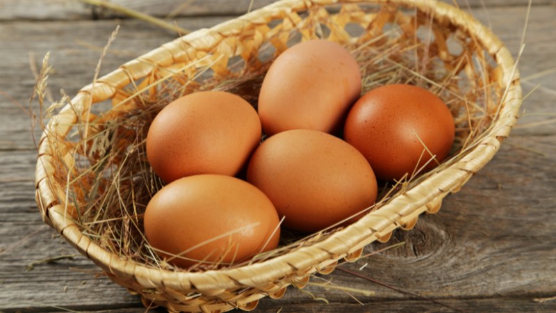 Giá trứng gà hôm nay ngày 04/10