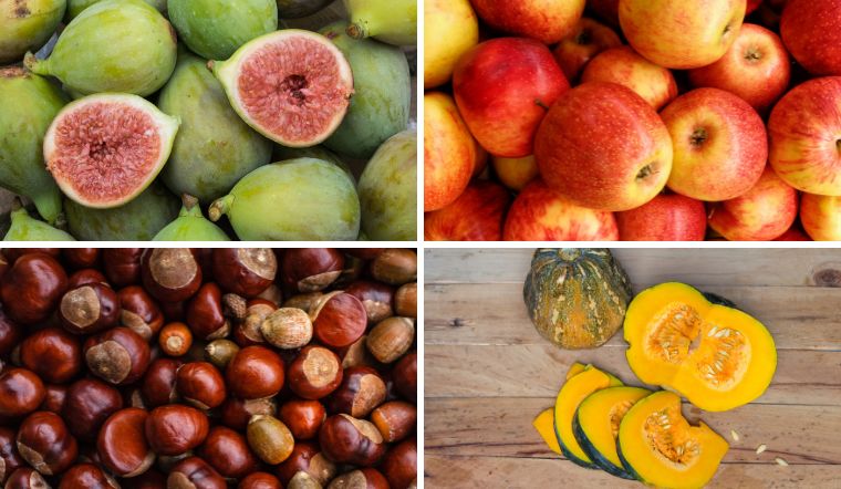 5 thực phẩm ăn vào mùa thu giúp giảm cân hiệu quả