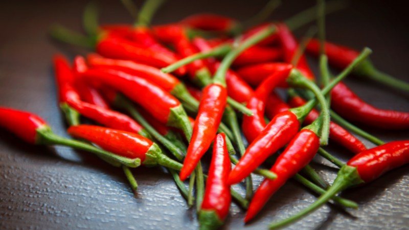 Giá ớt hôm nay 04/10/2024 cập nhật mới nhất