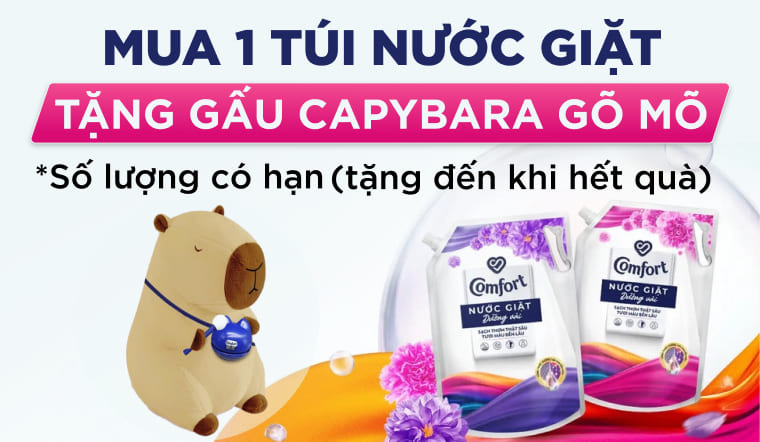Mua 1 túi nước giặt Comfort tặng gấu Capybara gõ mõ siêu dễ thương