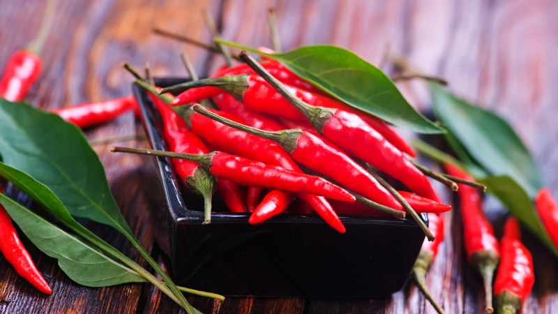 Giá ớt hôm nay 05/10/2024