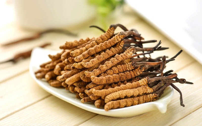 Những lưu ý khi dùng đông trùng hạ thảo cho người huyết áp thấp