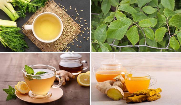 4 loại trà tốt cho người bị viêm loét đại tràng, làm dịu đường ruột