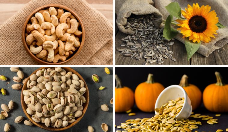 5 loại hạt giàu protein bổ dưỡng, có lợi với người giảm cân