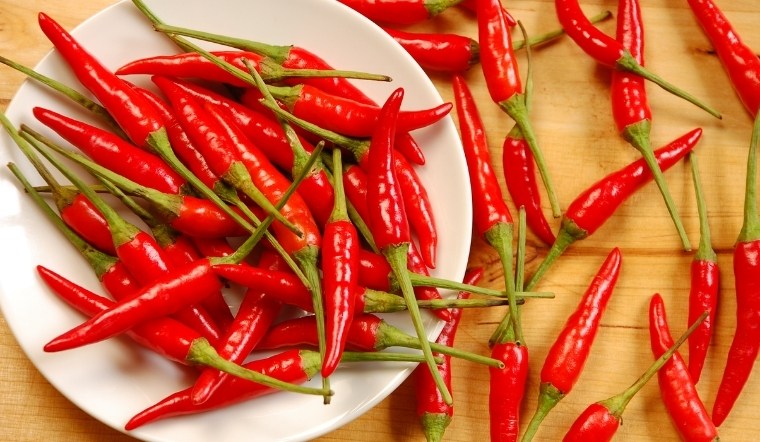 Giá ớt hôm nay 08/10/2024: Tạm không đổi so với hôm qua