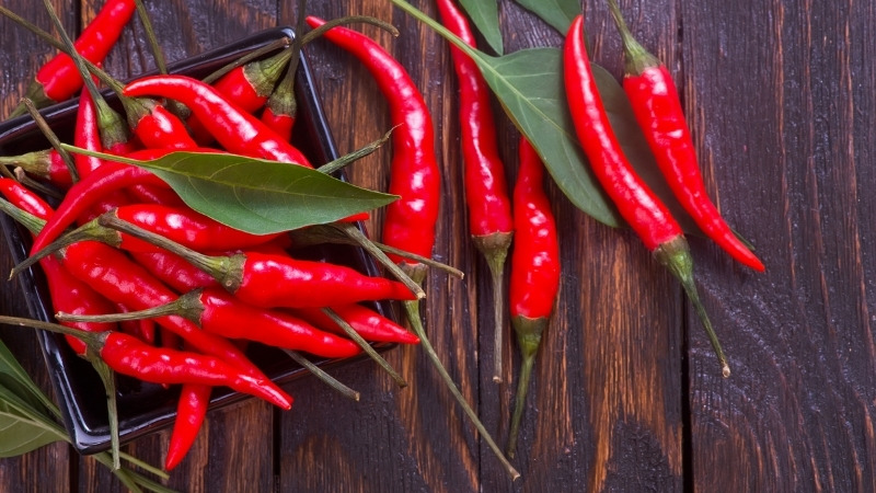 Giá ớt hôm nay 09/10/2024