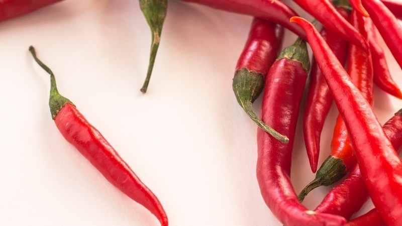 Giá ớt hôm nay 10/10/2024 cập nhật mới nhất Giá ớt hôm nay 10/10/2024 cập nhật mới nhất