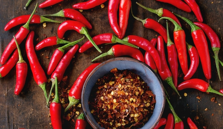 Giá ớt hôm nay 10/10/2024: Ớt chợ giảm nhẹ 1.000 đồng/kg