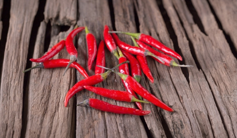 Giá ớt hôm nay 11/10/2024: Tăng 1.000 đồng/kg so với hôm qua