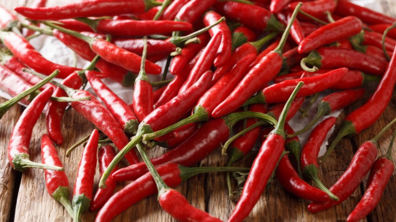 Giá ớt hôm nay 12/10/2024 Giá ớt hôm nay 12/10/2024