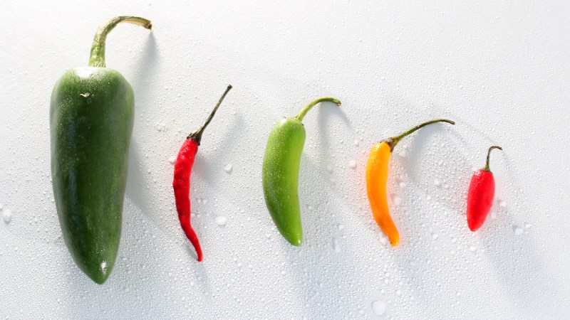 Giá ớt hôm nay 12/10/2024 cập nhật mới nhất Giá ớt hôm nay 12/10/2024 cập nhật mới nhất