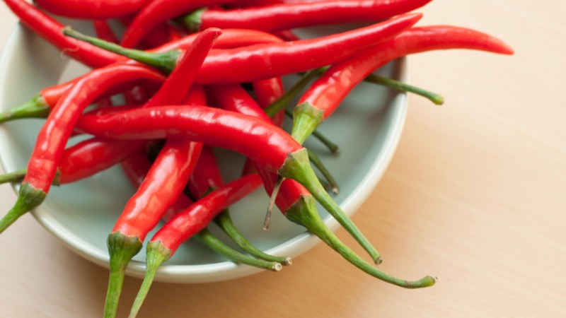 Giá ớt hôm nay 14/10/2024 mới nhất