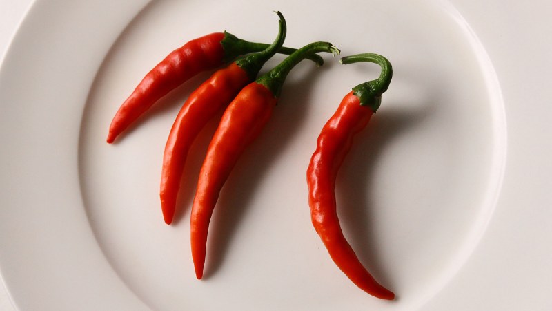 Giá ớt hôm nay 14/10/2024 cập nhật mới nhất