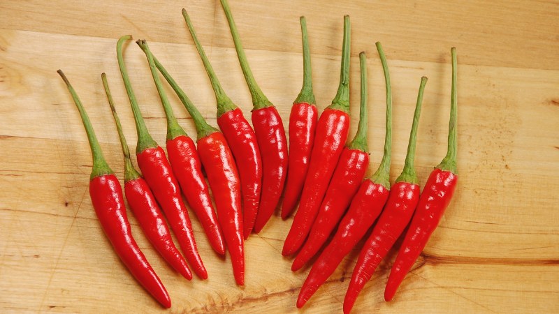 Giá ớt hôm nay 15/10/2024 cập nhật mới nhất