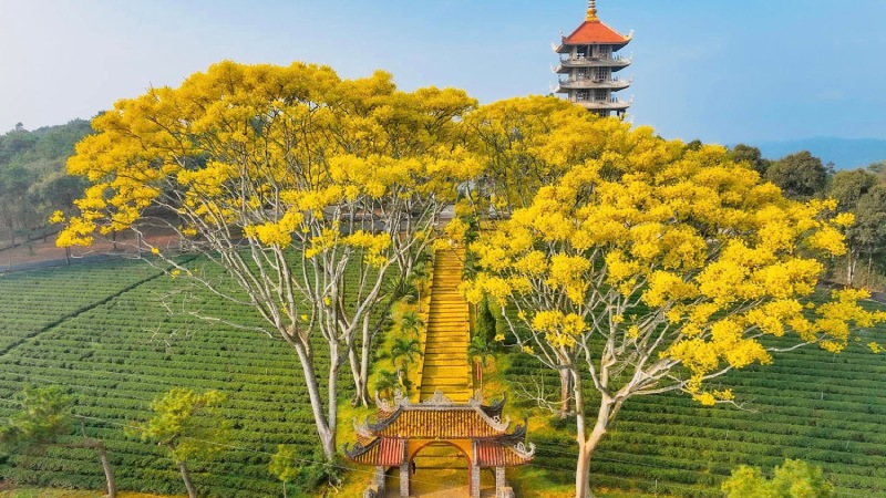 Bát Nhã Hoa Viên nên thơ
