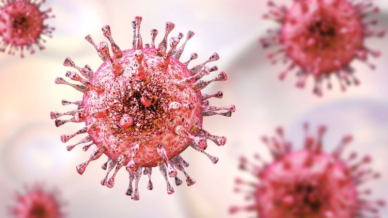 Virus Cytomegalovirus (CMV)