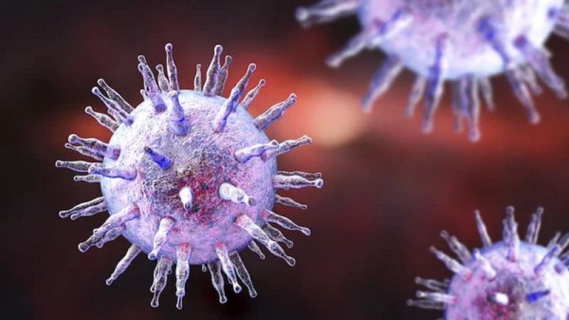Virus Epstein-Barr (EBV) và bệnh bạch cầu đơn nhân (mono)