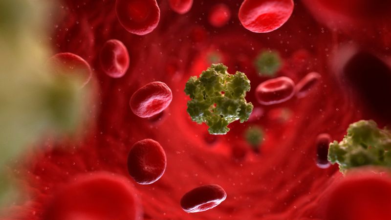 Virus u nhú ở người (HPV)