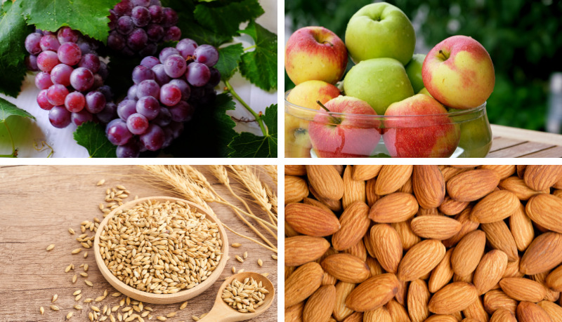 Bổ sung thực phẩm có chứa estrogen