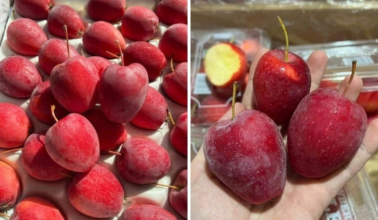 Tìm hiểu quả Táo cherry: Đặc điểm, phân loại, giá táo cherry