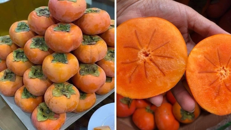 Giới thiệu chung về quả hồng mật Vân Sơn