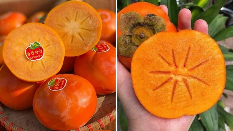 Đặc điểm bên ngoài của hồng mật Vân Sơn