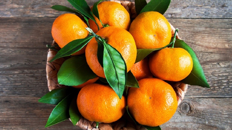 Đặc điểm bên ngoài của quýt mini