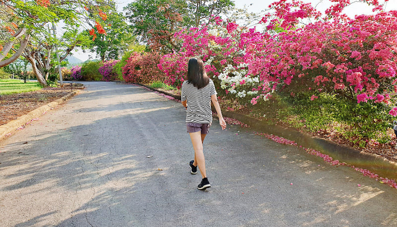 Phương pháp đi bộ giảm mỡ bụng theo cách của bác sĩ Masashi Kawamura Phương pháp đi bộ giảm mỡ bụng theo cách của bác sĩ Masashi Kawamura