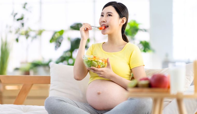 Bà bầu ăn thịt chó có sao không? Tác hại khi bà bầu ăn thịt chó
