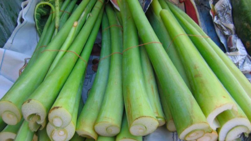 Dọc mùng giúp thúc đẩy tiêu hóa