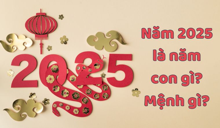 Năm 2025 là năm con gì, mệnh gì? Hợp với tuổi nào?