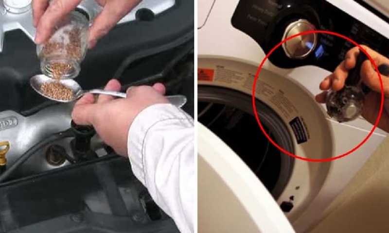 Giặt quần áo với hạt tiêu đen