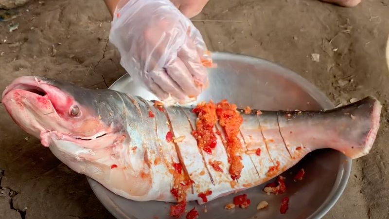 Ướp cá basa