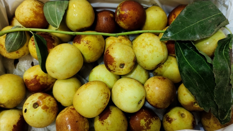 Lợi ích của hồng táo