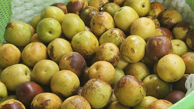 Thưởng thức hồng táo đúng chuẩn