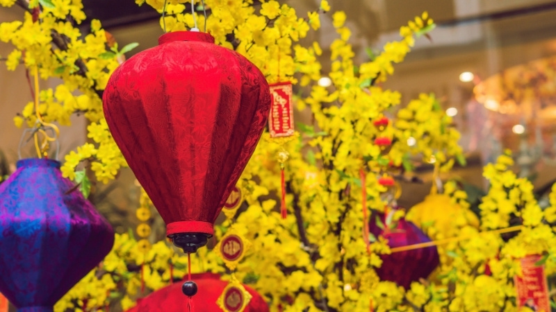 Năm 2025 nghỉ Tết từ ngày bao nhiêu? Năm 2025 nghỉ Tết từ ngày bao nhiêu?