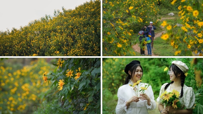 Điện Biên Điện Biên