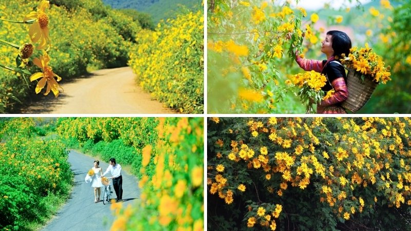 Mộc Châu (Sơn La) Mộc Châu (Sơn La)