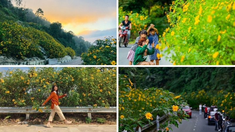 Vườn Quốc gia Ba Vì (Hà Nội) Vườn Quốc gia Ba Vì (Hà Nội)